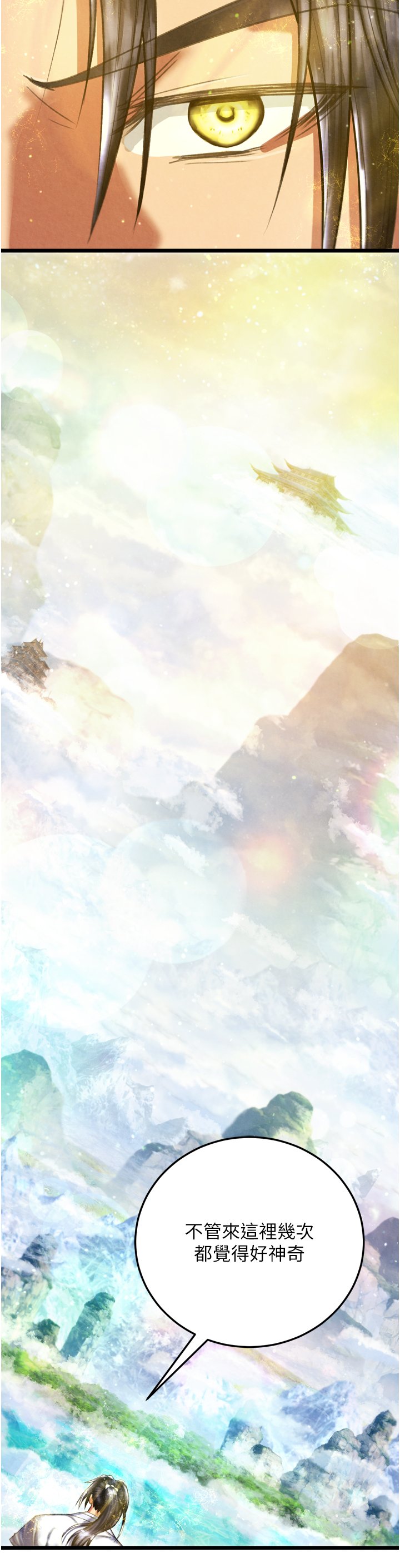 页面 11