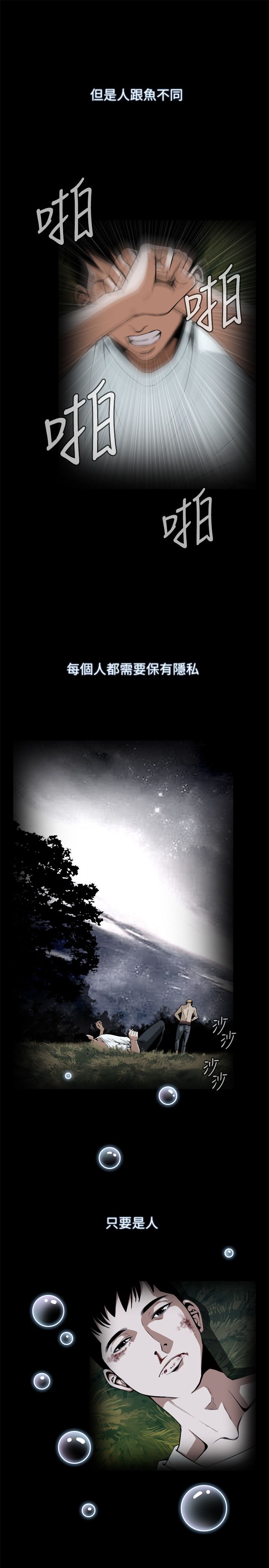页面 11