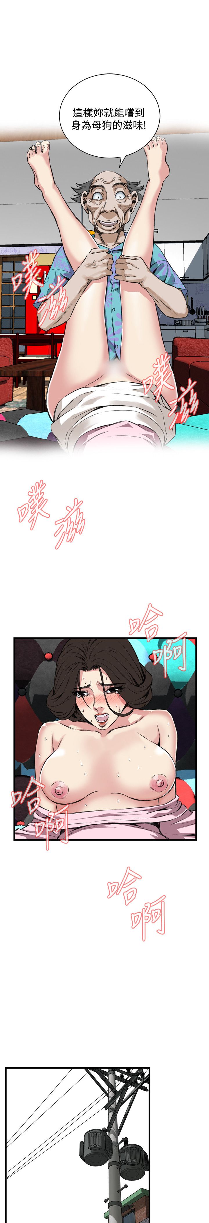 页面 19