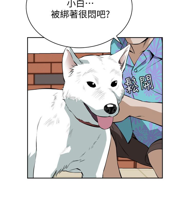 页面 24