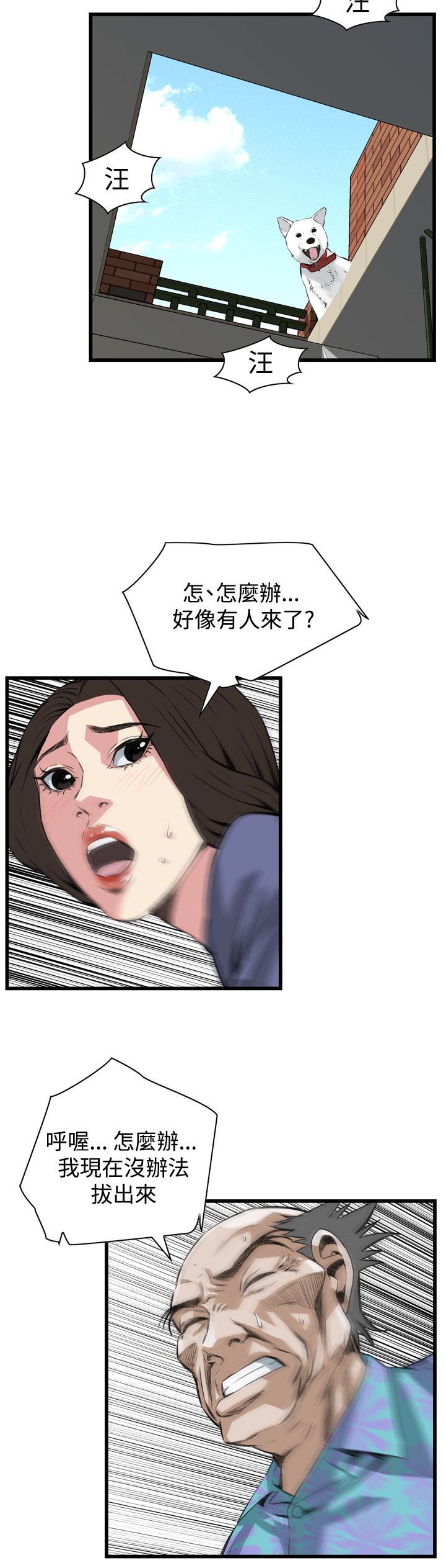 页面 19