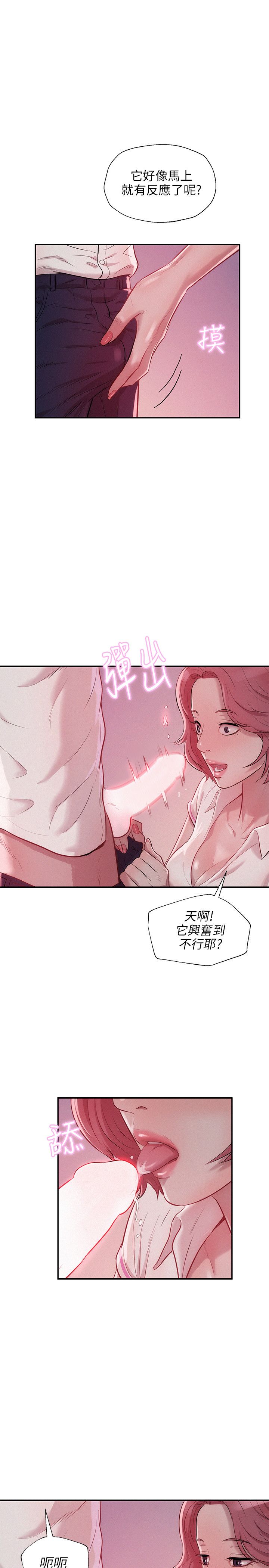 页面 19