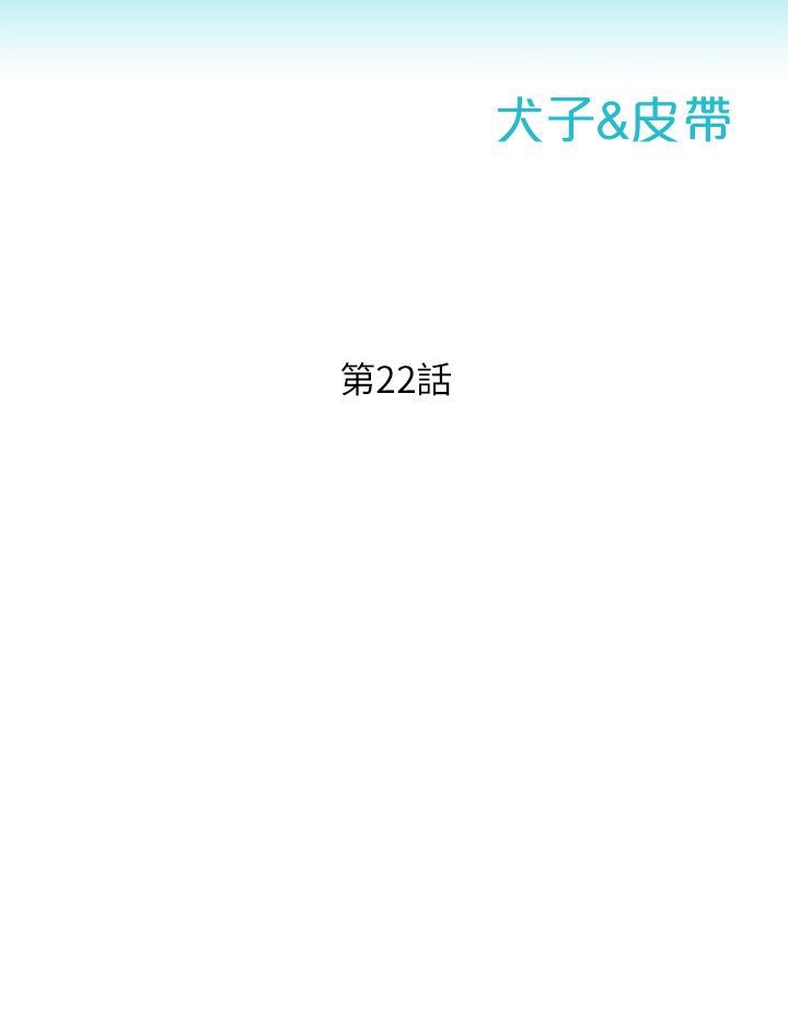 页面 5