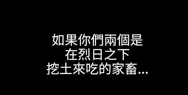 页面 12
