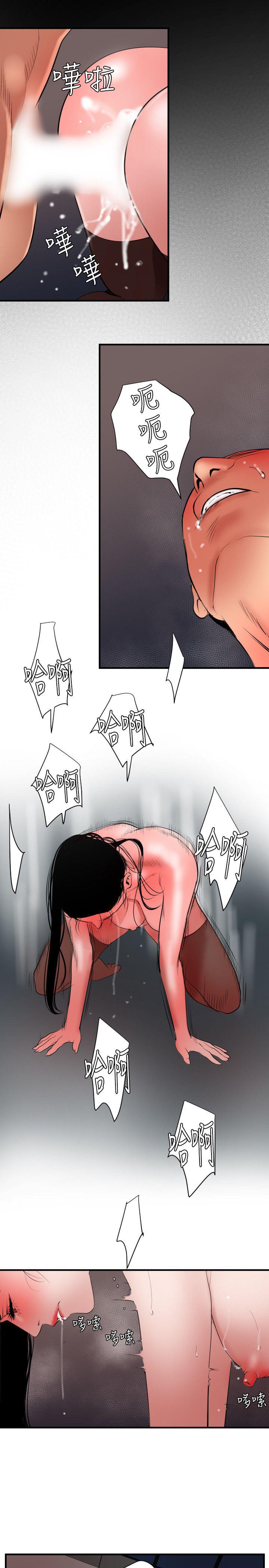 页面 12