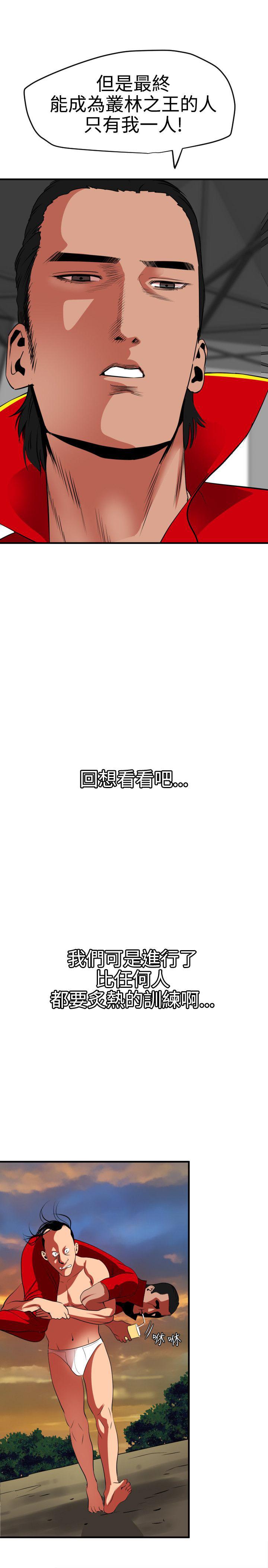 页面 8