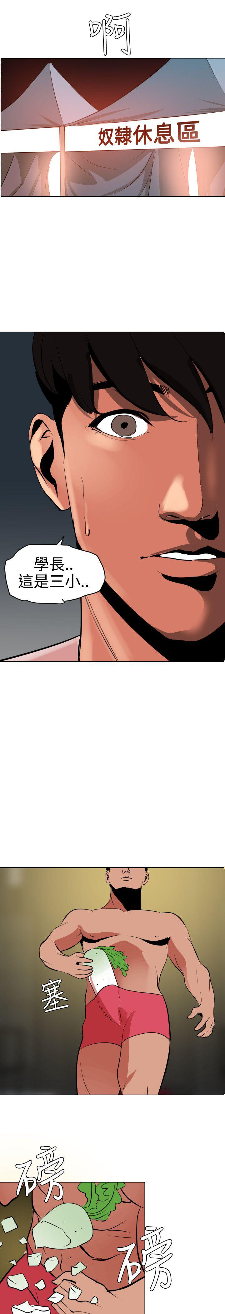 页面 17