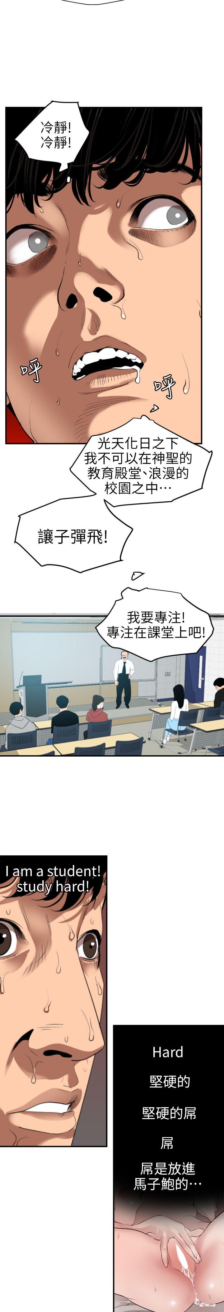 页面 13