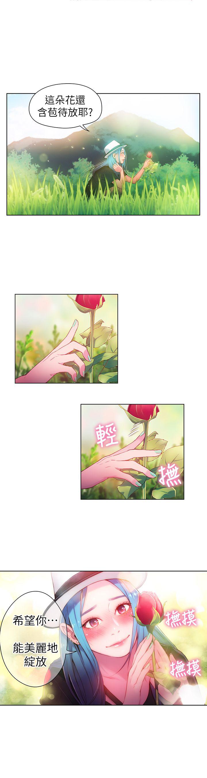 页面 13